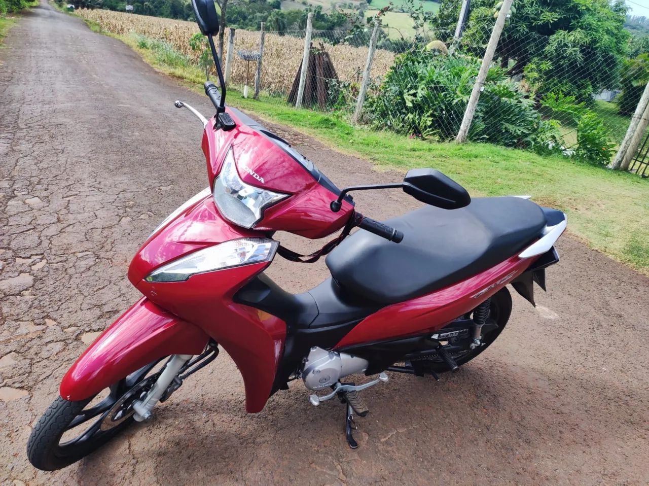 Bis 125 2022 - Foto 5
