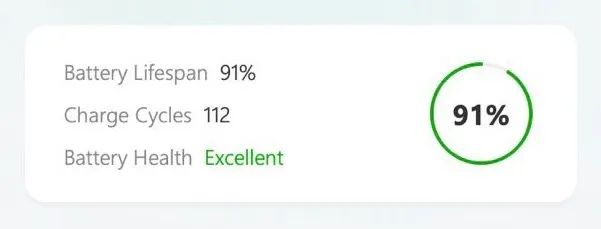 Ipad pro m2 12.9 polegadas 256gb saúde da bateria 91% LOJA FÍSICA ( 12.9" 6ª geração ) - Foto 2