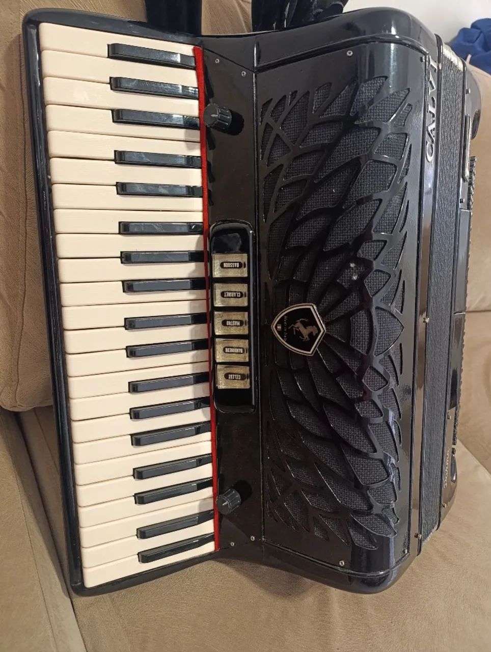 Acordeon, sanfona  - Foto 3