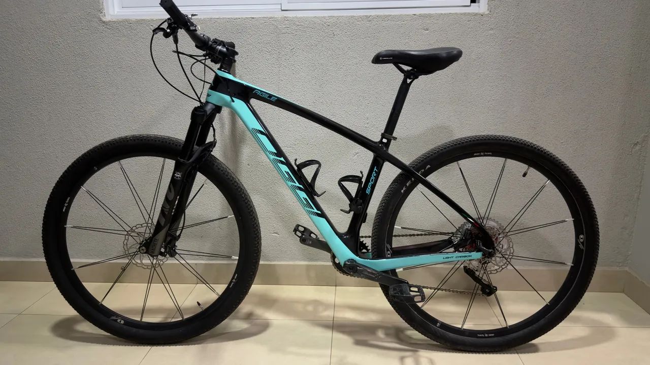 Bicicleta Light Carbon OGGI