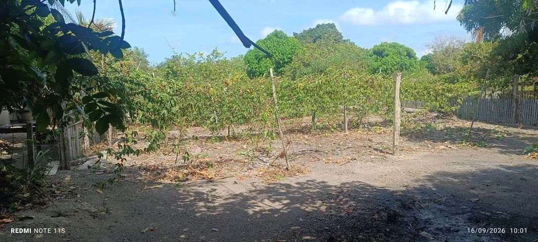 Vendo uma casa na comunidade Estrada Nova - Foto 4