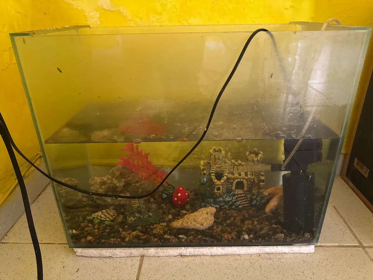 Vendo Aquário  - Foto 2