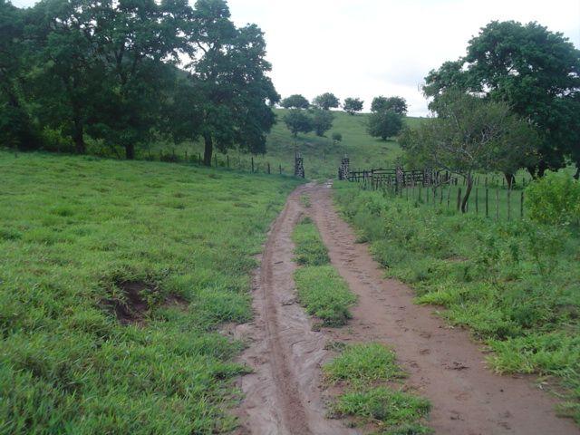 Vale Jiquiriçá-Fazenda - 800 Tarefas, analisa troca p\imóvel em Salvador - Foto 10