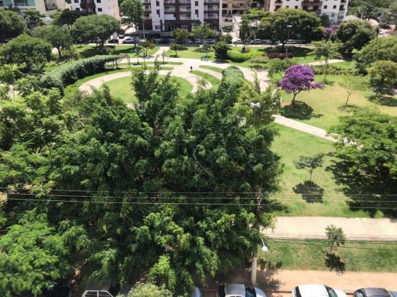 Apartamento à venda com 3 dormitórios cod:V28493UR - Foto 9