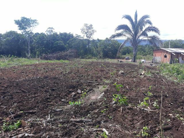 Culturao terra Preta agua por gravidade - Foto 5