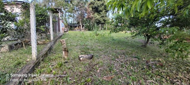 Terreno em antonina - Foto 5