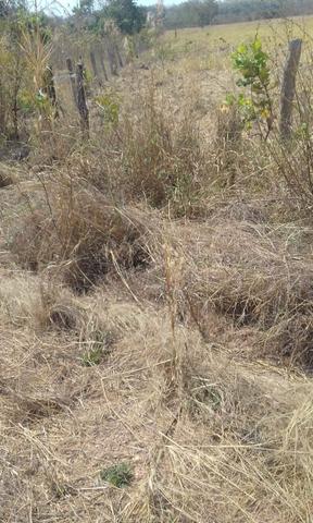 Fazenda criação de gado próximo a nova Brasilândia - Foto 5