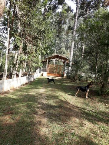 Chácara - Sítio - Mandirituba próx. Fazenda Rio Grande - Foto 14