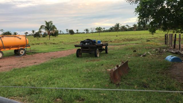 Fazenda - Foto 12