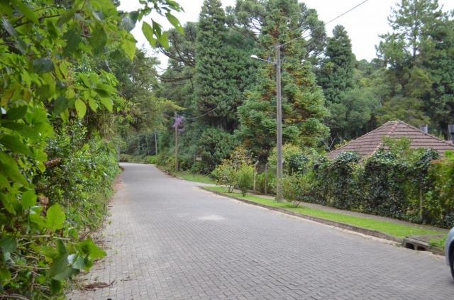 Terreno à venda, 1600 m² por R$ 2.000.000,00 - Vila Suzana - Canela/RS