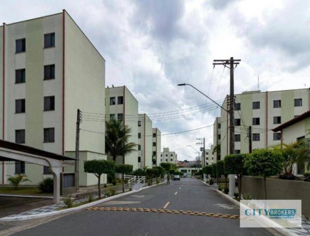 Apartamento com 2 dormitórios à venda, 50 m² por R$ 220.000,00 - Vila Rio de Janeiro - Gua - Foto 4