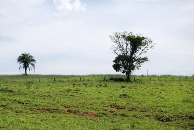 Fazenda com 12 alqueires em Terezópolis-GO - Foto 17