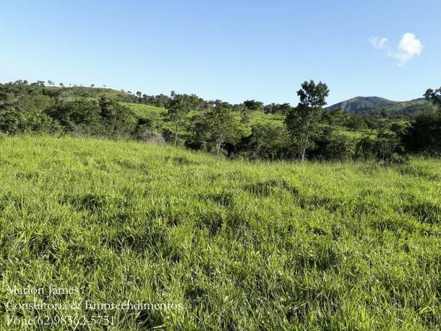 Fazenda em Niquelandia! - Foto 7