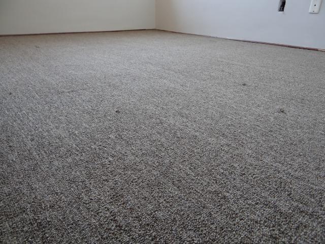 Apartamento 03 quartos próximo ao Campo São Bento - Foto 7