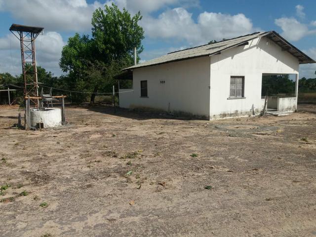 Fazenda de 468 Hectares em Boa Vista - Foto 2