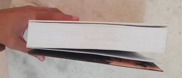 Livro O apanhador de sonhos Stephen king - Foto 2