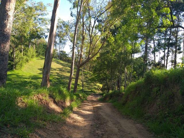 11* Meu terreno em ótima localização e fácil acesso! - Foto 6