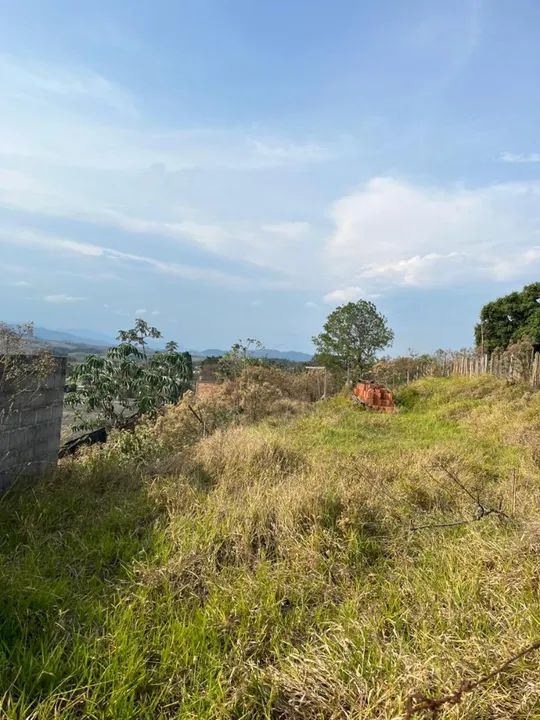 foto - São José dos Campos - Bosque dos Eucaliptos