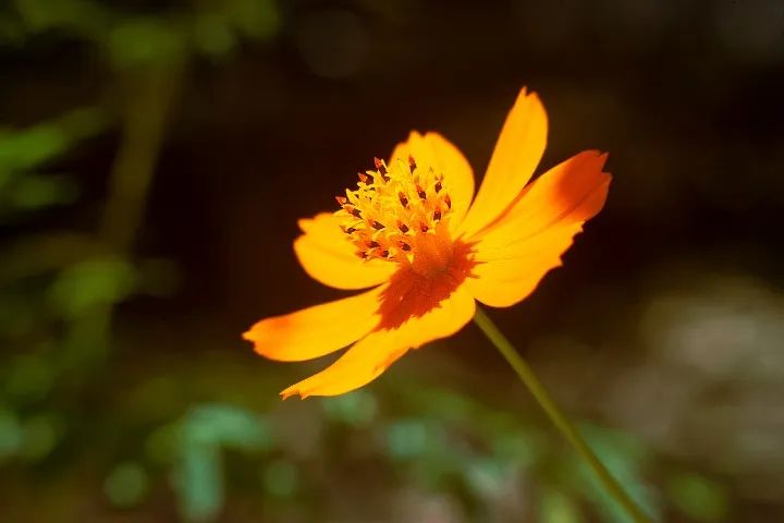 MITAKON - 70-180mm  - Foto 6