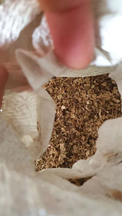 Serragem presépio natal Madeira de demolição para revestimento