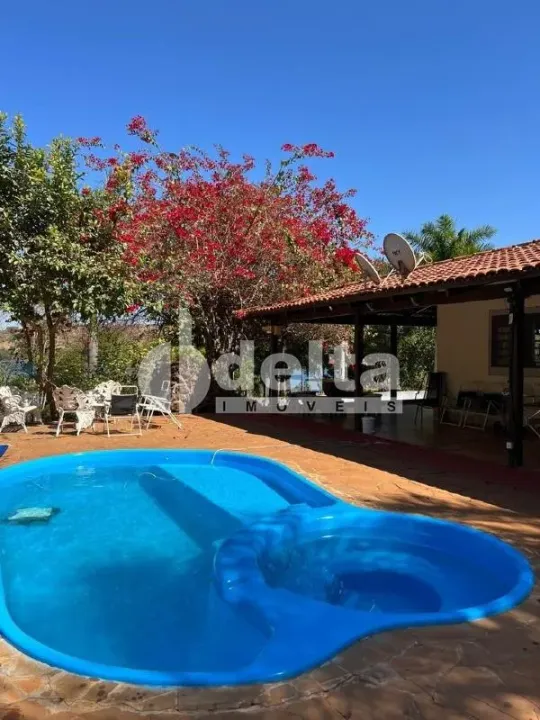 Chácara disponível para locação e venda na Zona Rural de Uberlândia em Uberlândia-MG