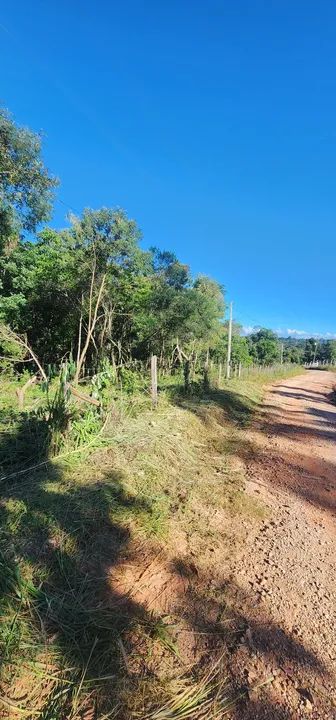 Terreno com área verde em região tranquila - Foto 4