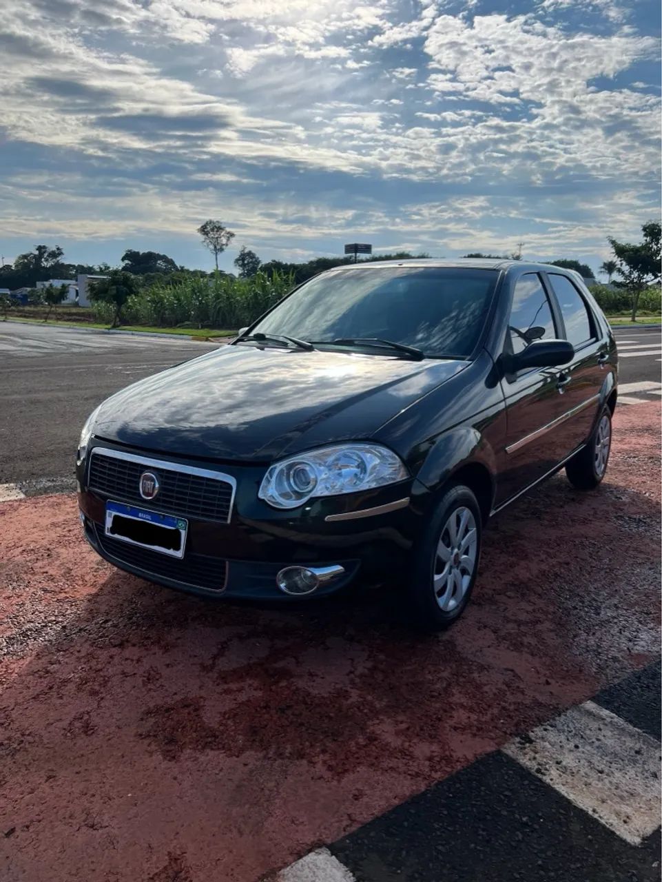 Vende-se Palio Elx Ano 2010