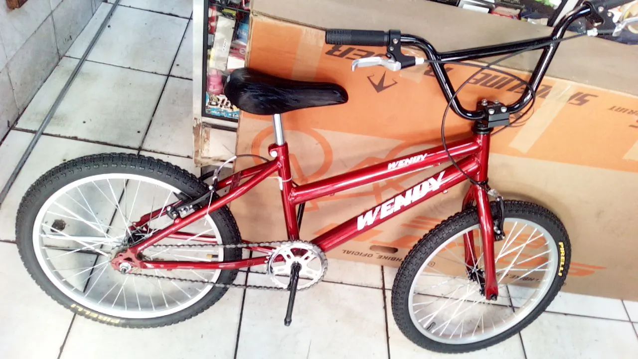 Bicicleta infantil aro 20 