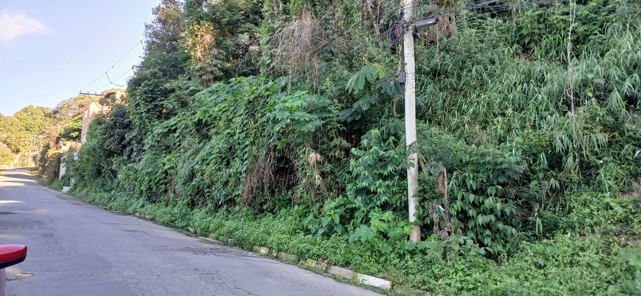 *OPORTUNIDADE* Vendo Terreno c Escritura - lote 10 - Francisco Morato próx a F. da Rocha - Foto 5