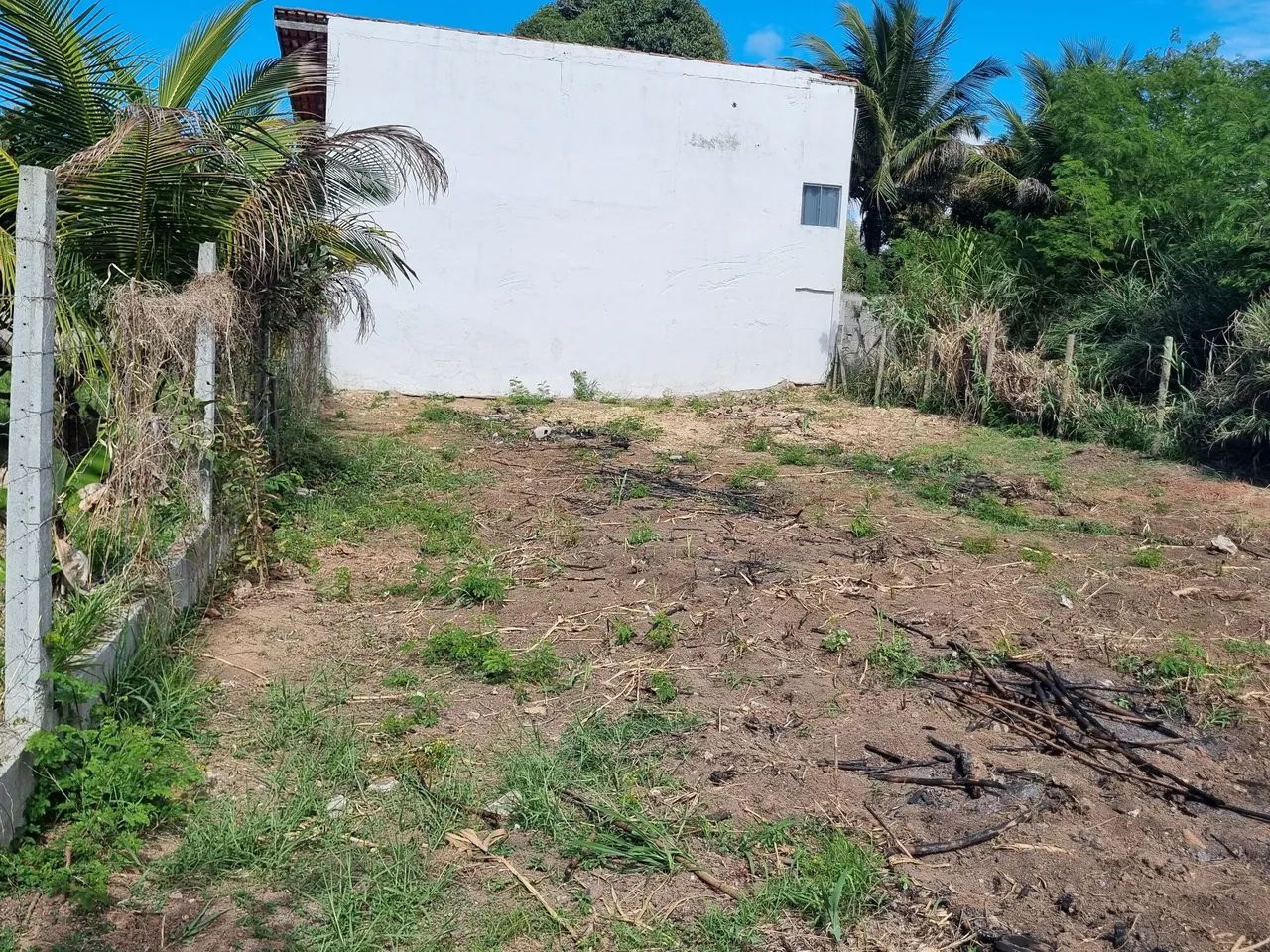 Foto - Aracruz - Santa Cruz