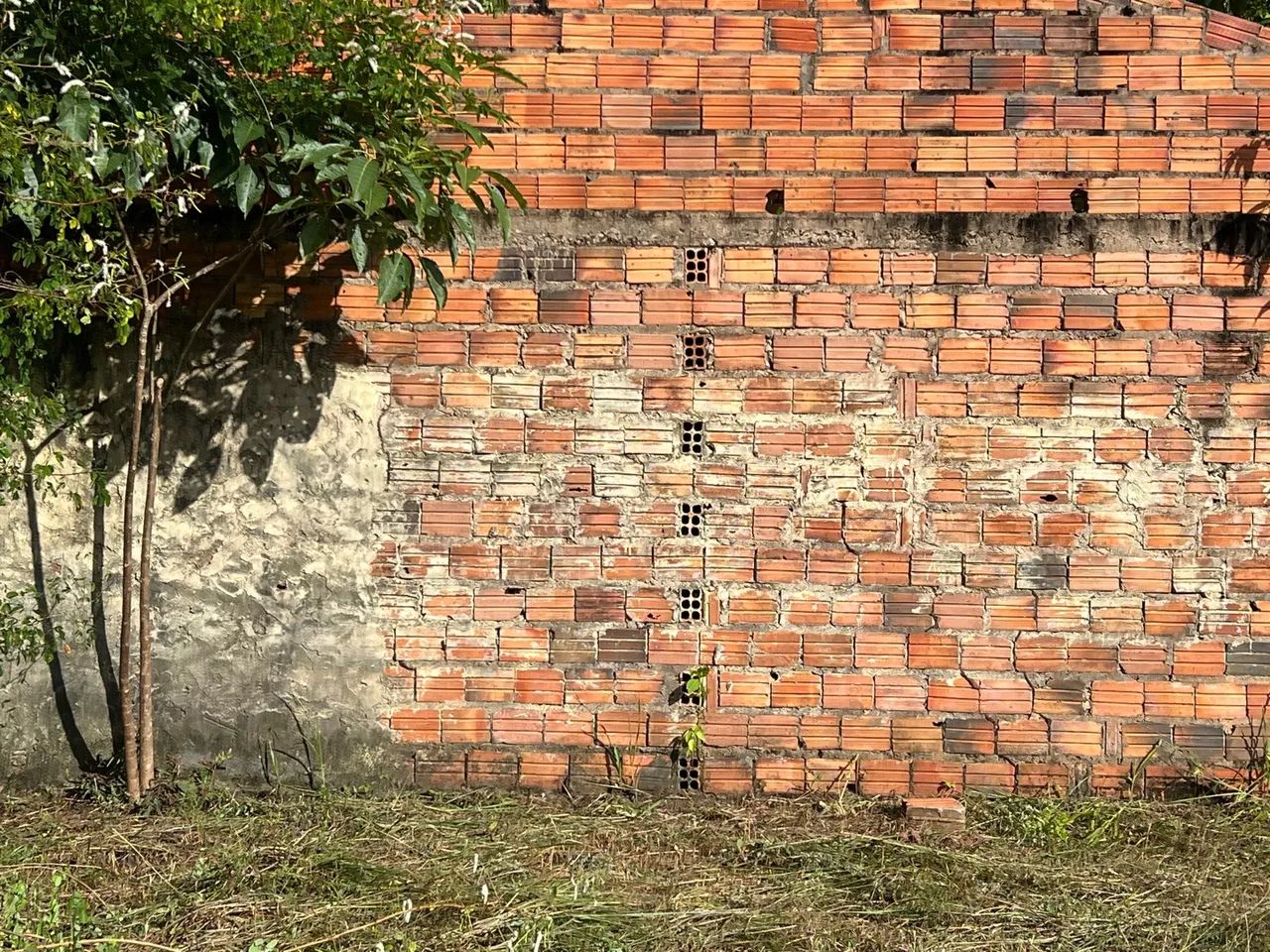 LINDO SÍTIO NO TIMBUBA - Foto 15