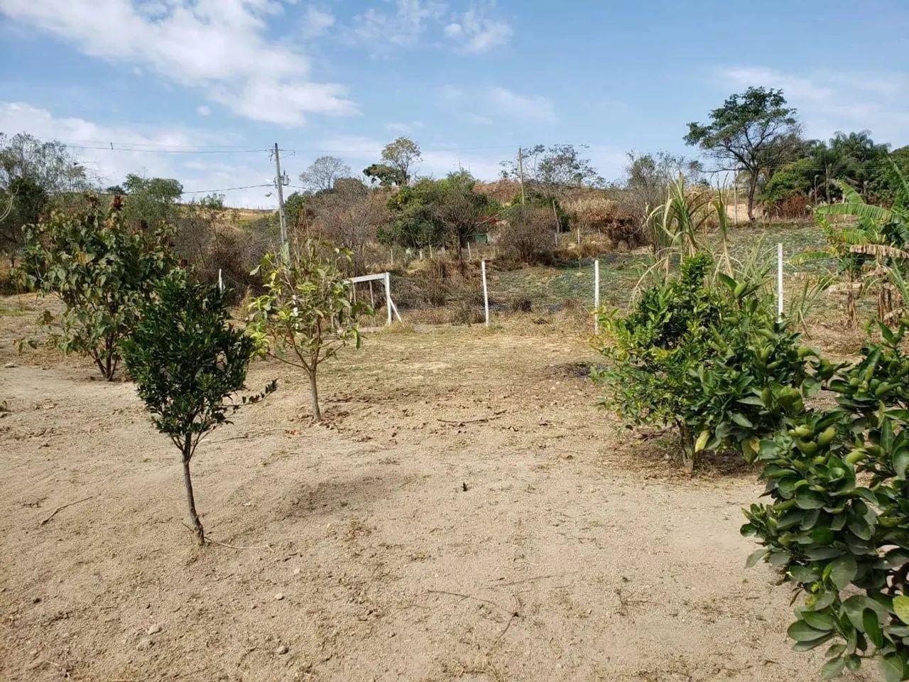 Fazenda em Esmeraldas - São José - Esmeraldas/MG - Foto 3