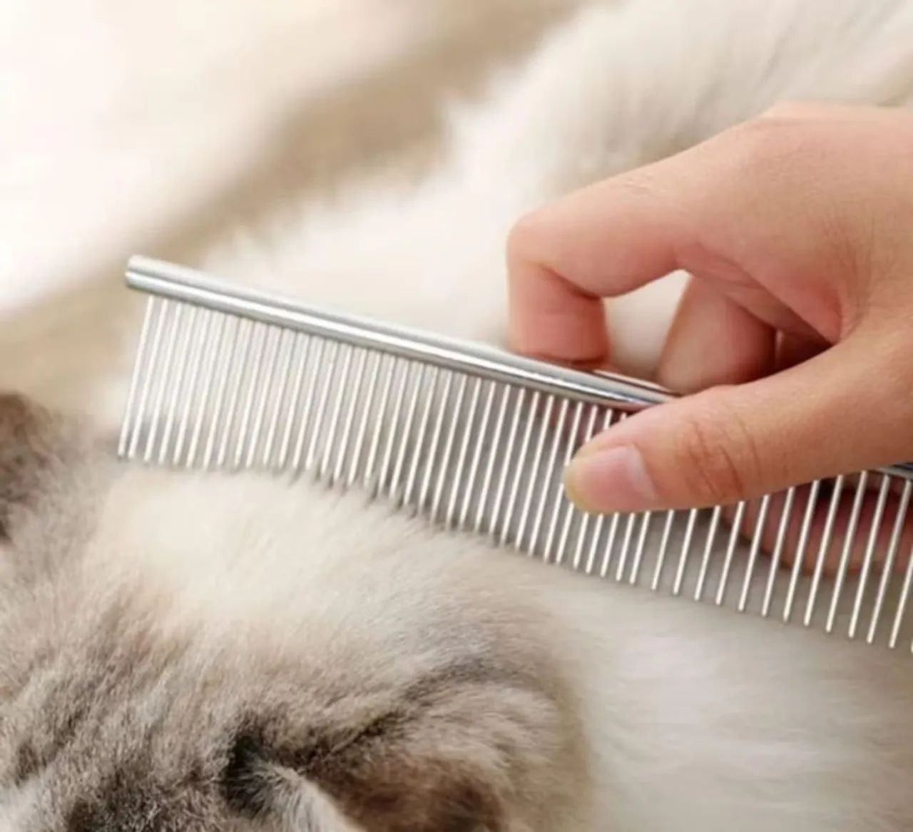Pente de Aço para Banho Pet Shop para Cachorro Cães Gatos - Foto 3