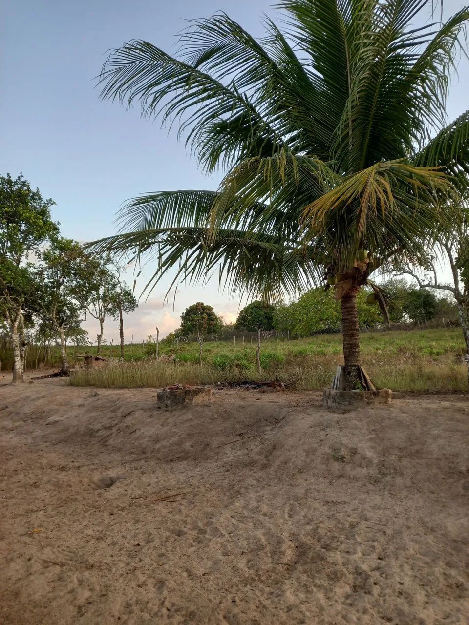 Vendo Propriedade  - Foto 3