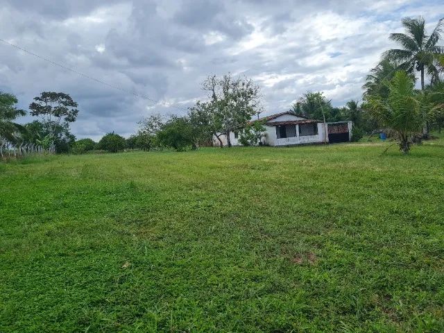 Vende-se Sítio de Laranja Produtivo - Esplanada/BA