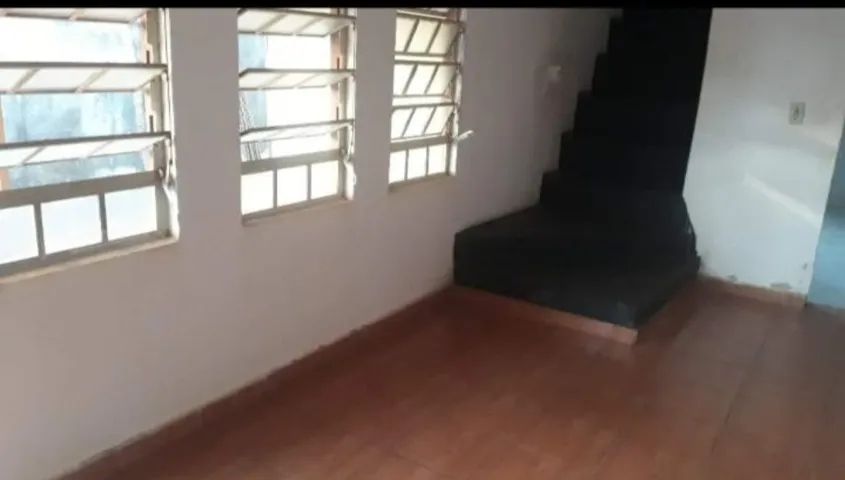 foto - Londrina - Vitória Régia