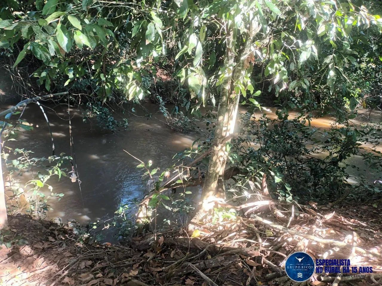 Sítio em Itaberaí com área de 4 mil m² - Foto 3