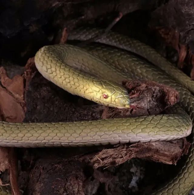 Cobra Serpente Verde Longa De Borracha Natural World - Foto 3