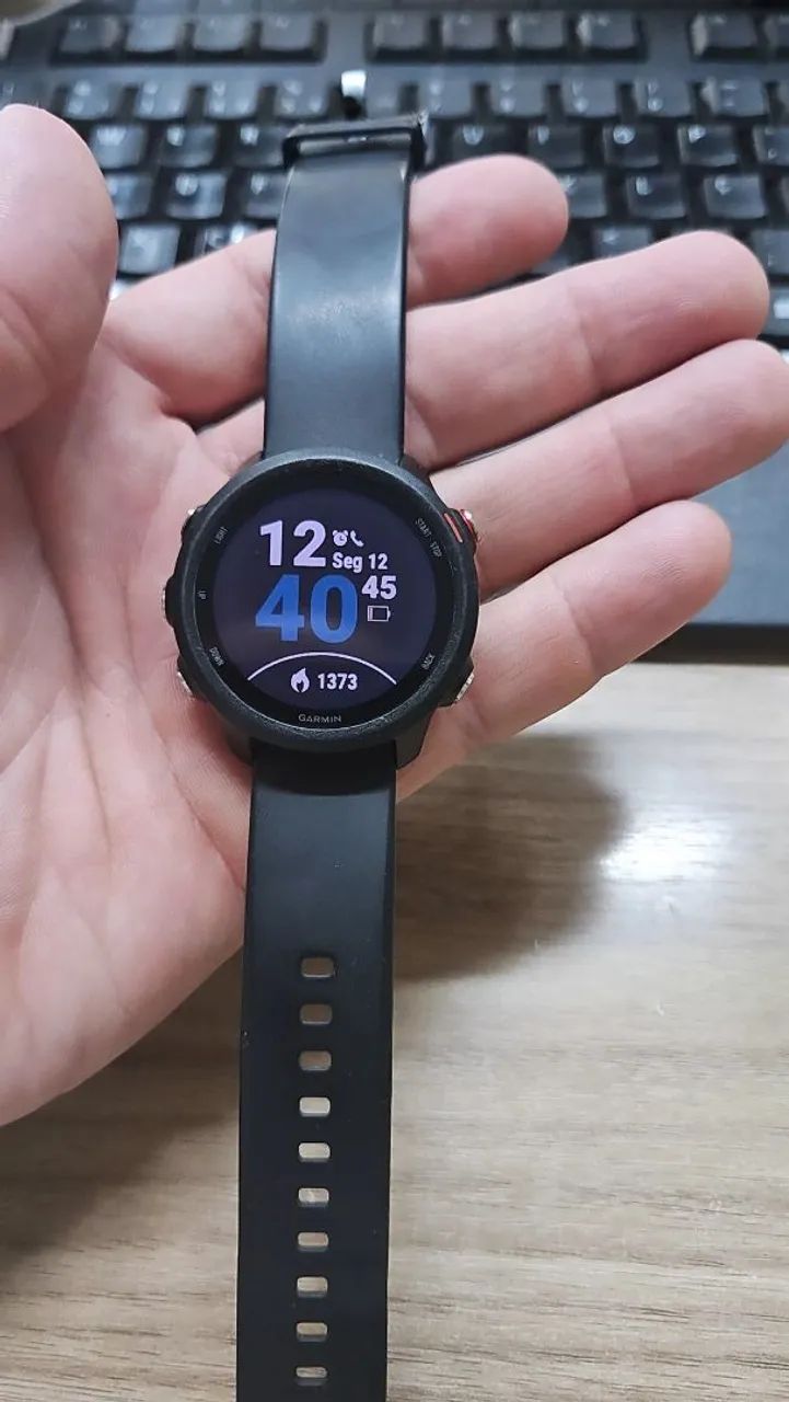 Garmin foreruner 245 music 