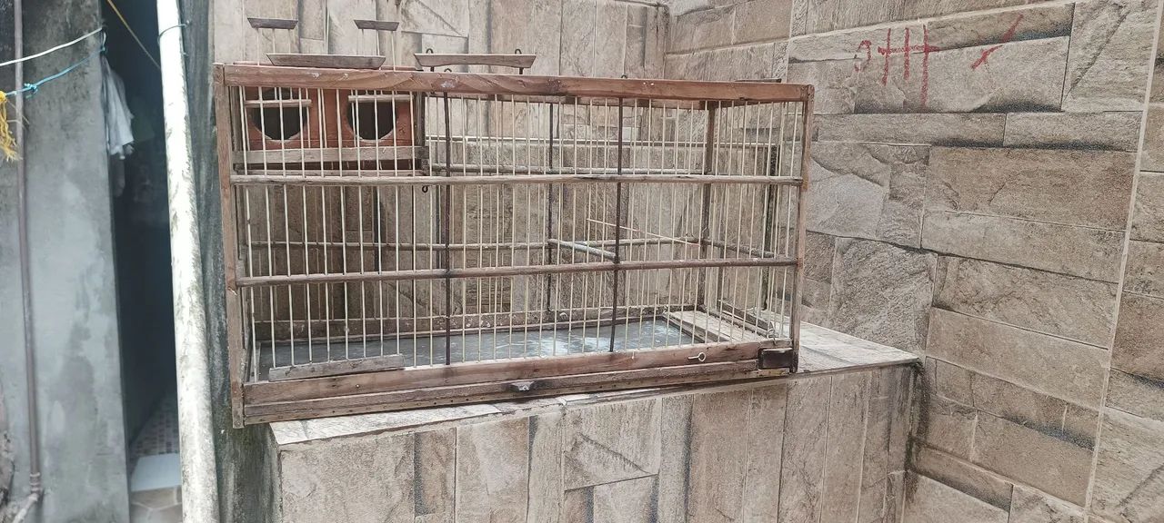 Gaiola voador  - Foto 4