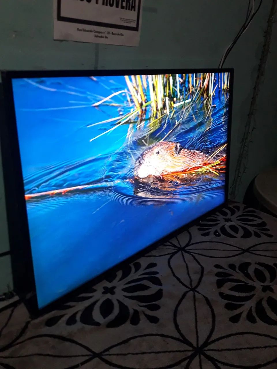 Tv Smart LG 43 perfeita  - Foto 4