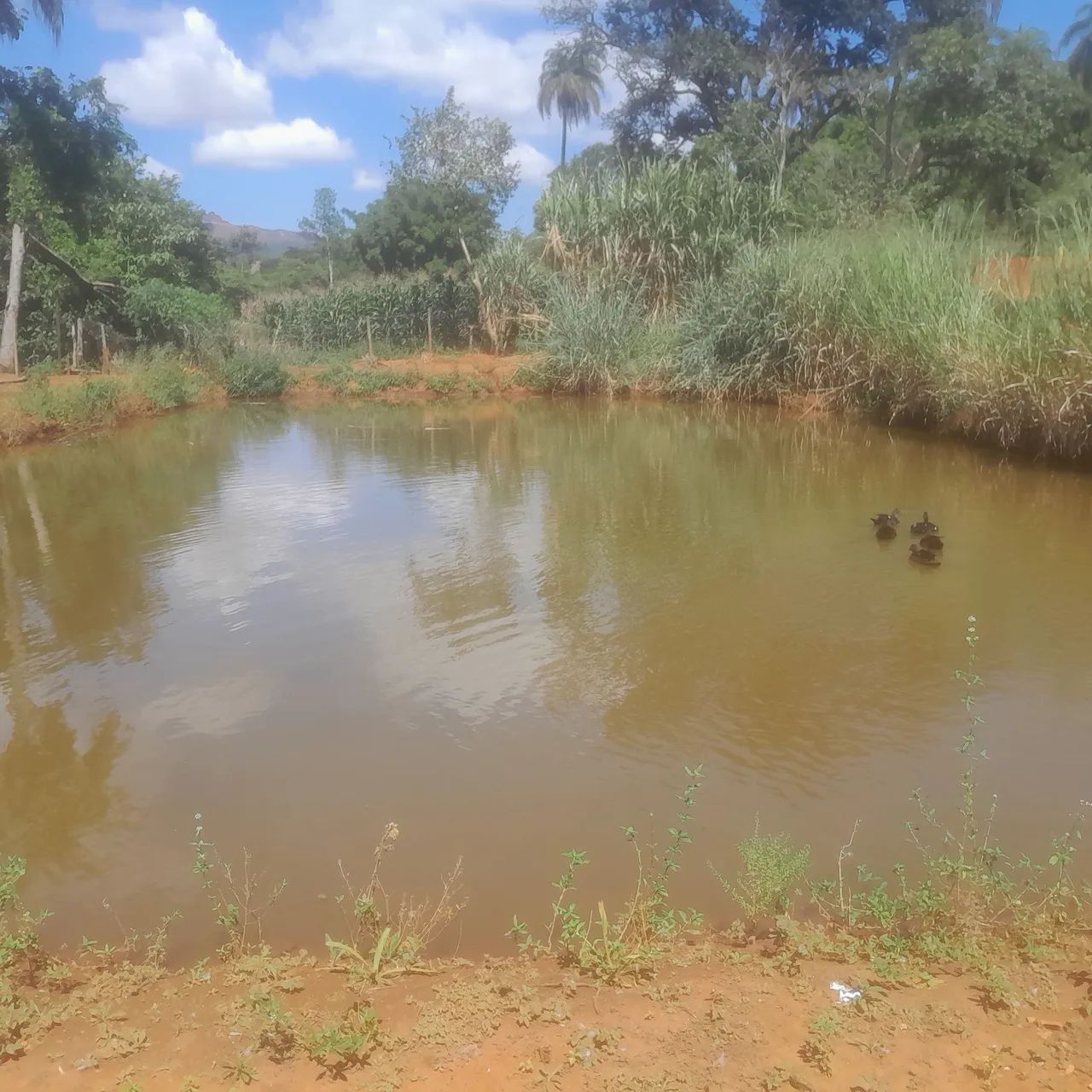 Terreno com lagoa em serra azul 