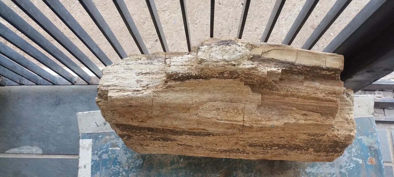 Tronco madeira petrificado antigo VENDO - Foto 4