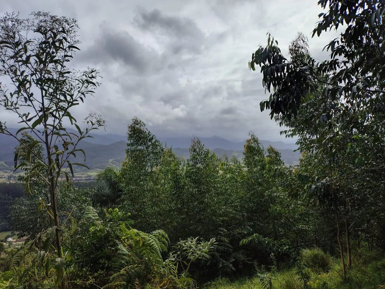 Terreno no Rio duna - Foto 5