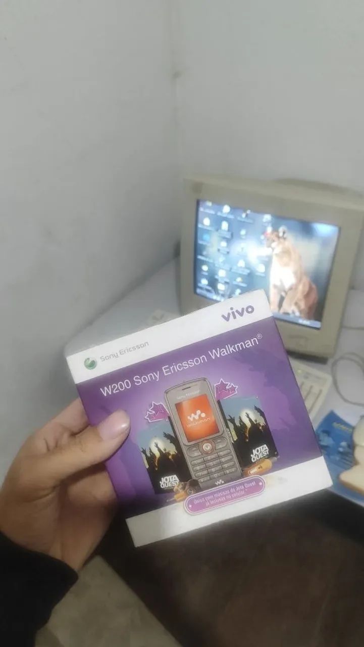 Sony Ericson w200 cinza
