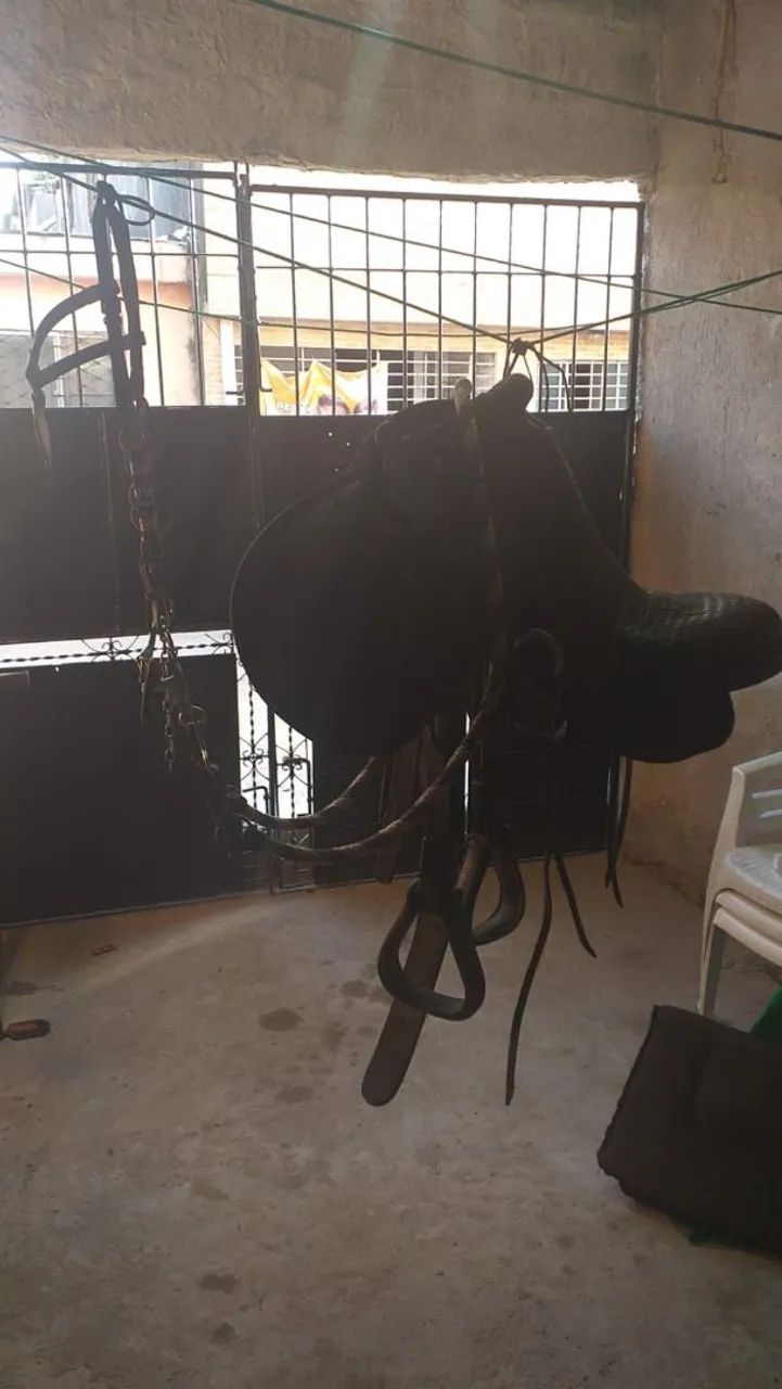 Sela de cavalo - Foto 4