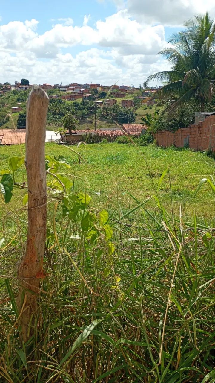 TERRENO À VENDA - AMÉLIA RODRIGUES BA