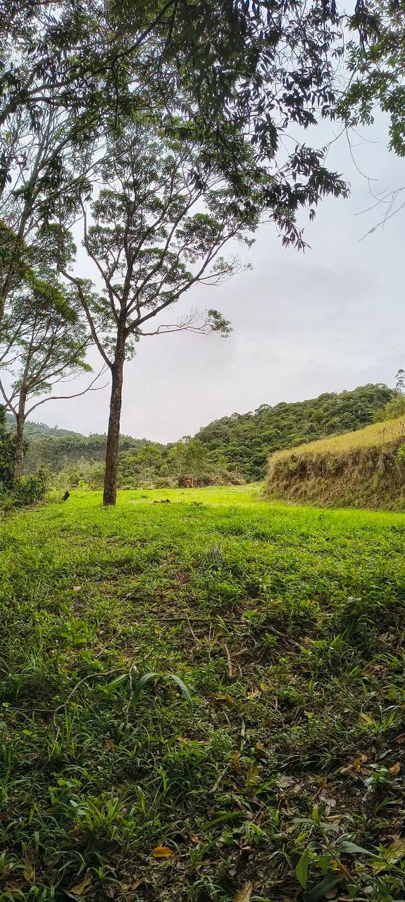 1 ha com córrego+chão de casa, Imaruí,sc - Foto 4