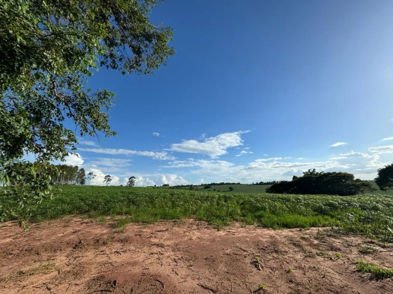 SITIO DE 2,62 ALQUEIRES - TUNEIRAS D* OESTE- PR - Foto 5