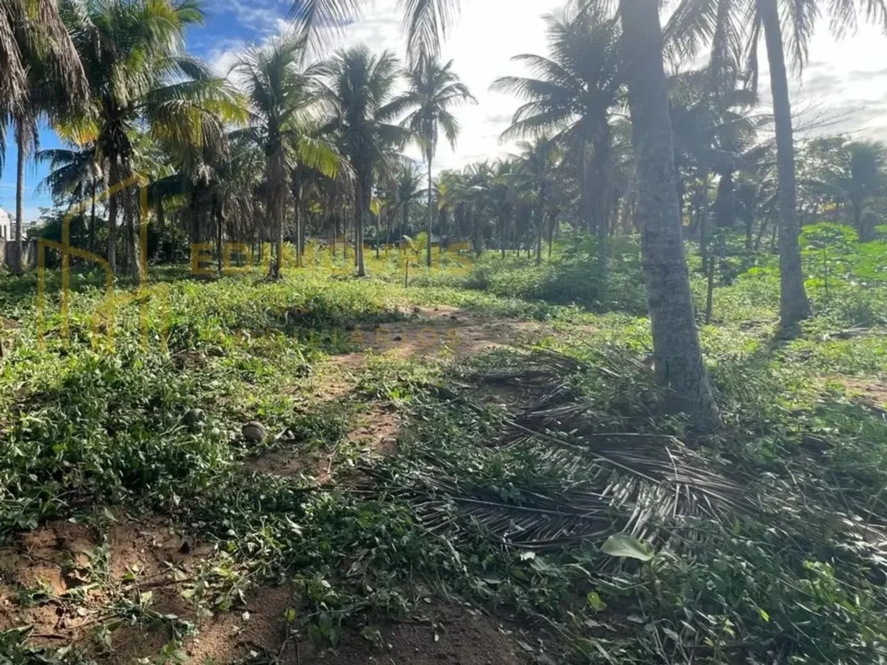 Oportunidade única em Parque das Gaivotas: Lotes com documentação regularizada! - Foto 5